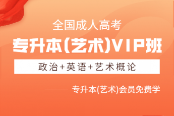 专升本(艺术)VIP班