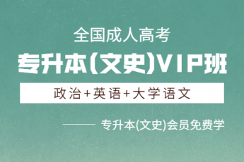专升本(文史)VIP班